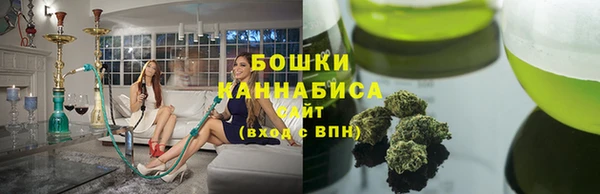 эйфоретик Бородино